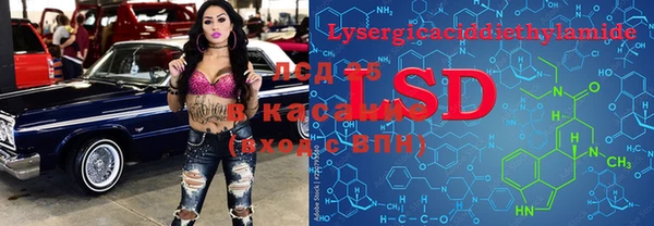 кокс Аркадак