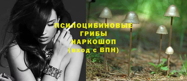 эйфоретик Армянск