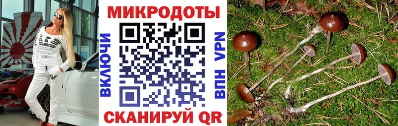 Галлюциногенные грибы ЛСД  цена   Сусуман 